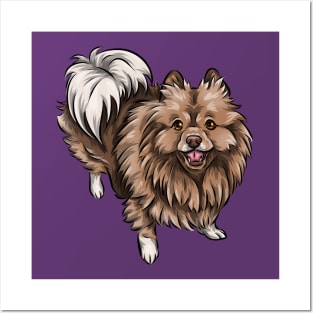 Cute German Spitz Mittel Posters and Art